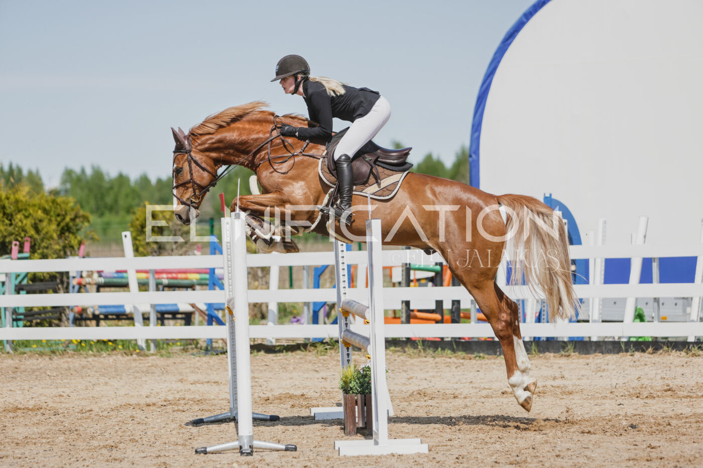 Gramina_Kevad_2026_100_314