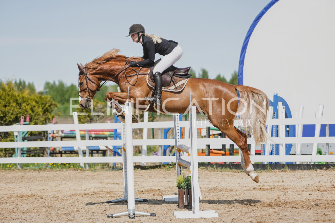 Gramina_Kevad_2026_100_315