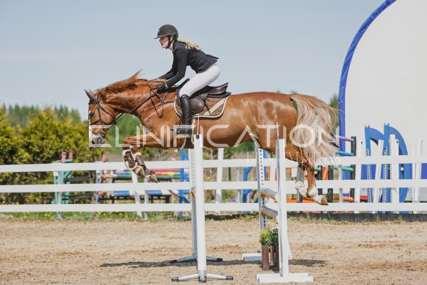 Gramina_Kevad_2026_100_317