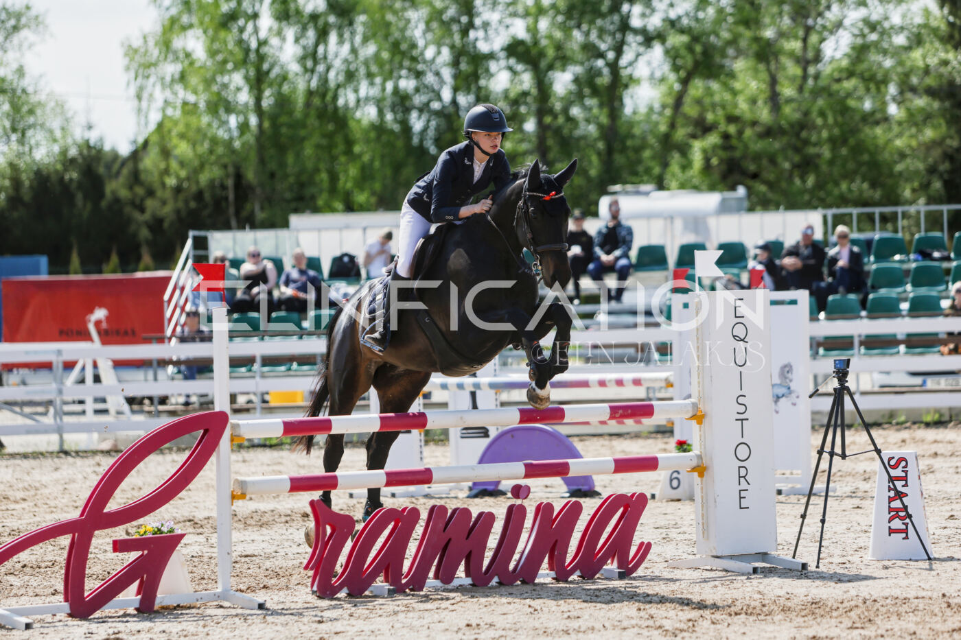 Gramina_Kevad_2026_100_319