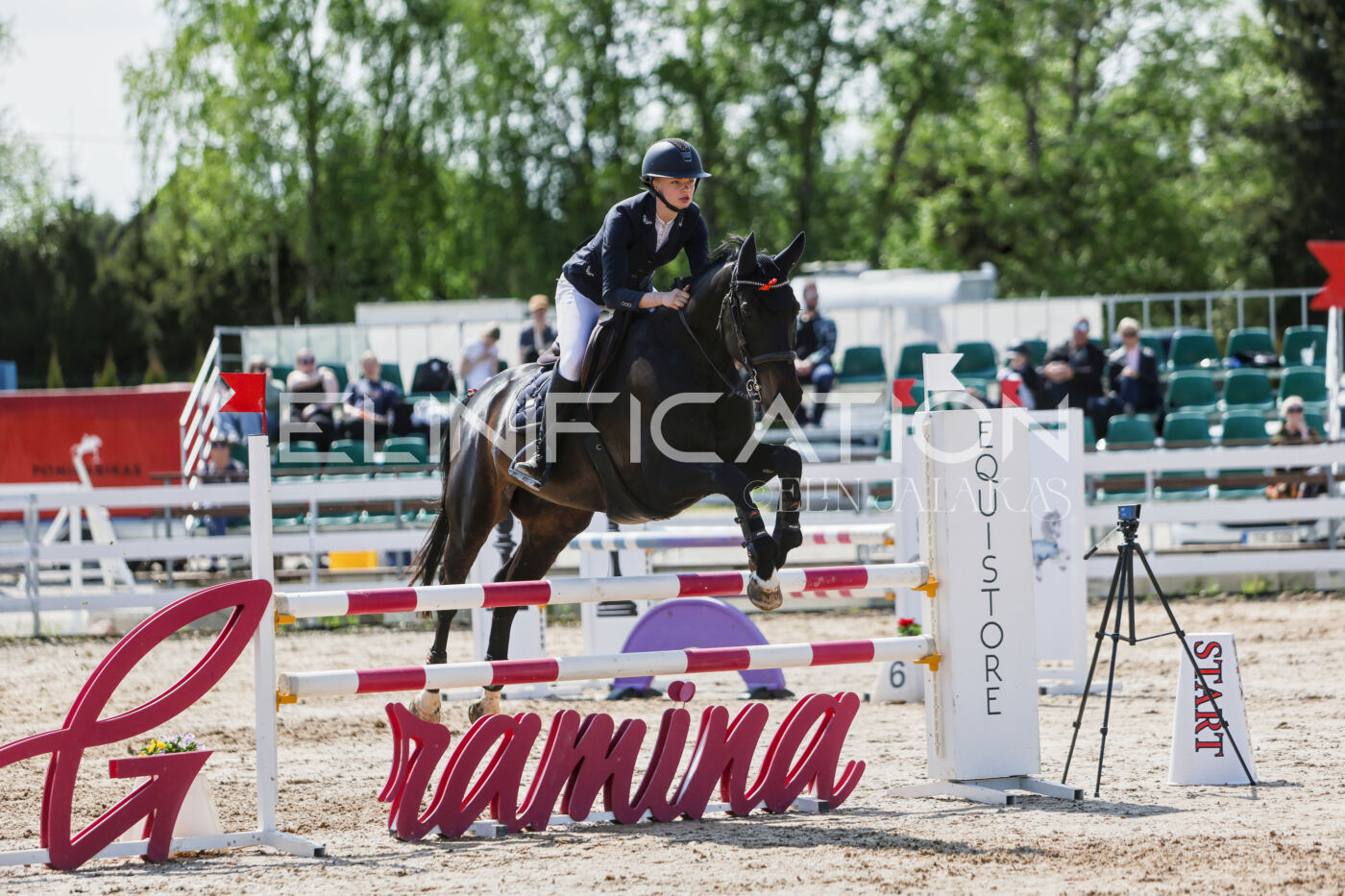 Gramina_Kevad_2026_100_320