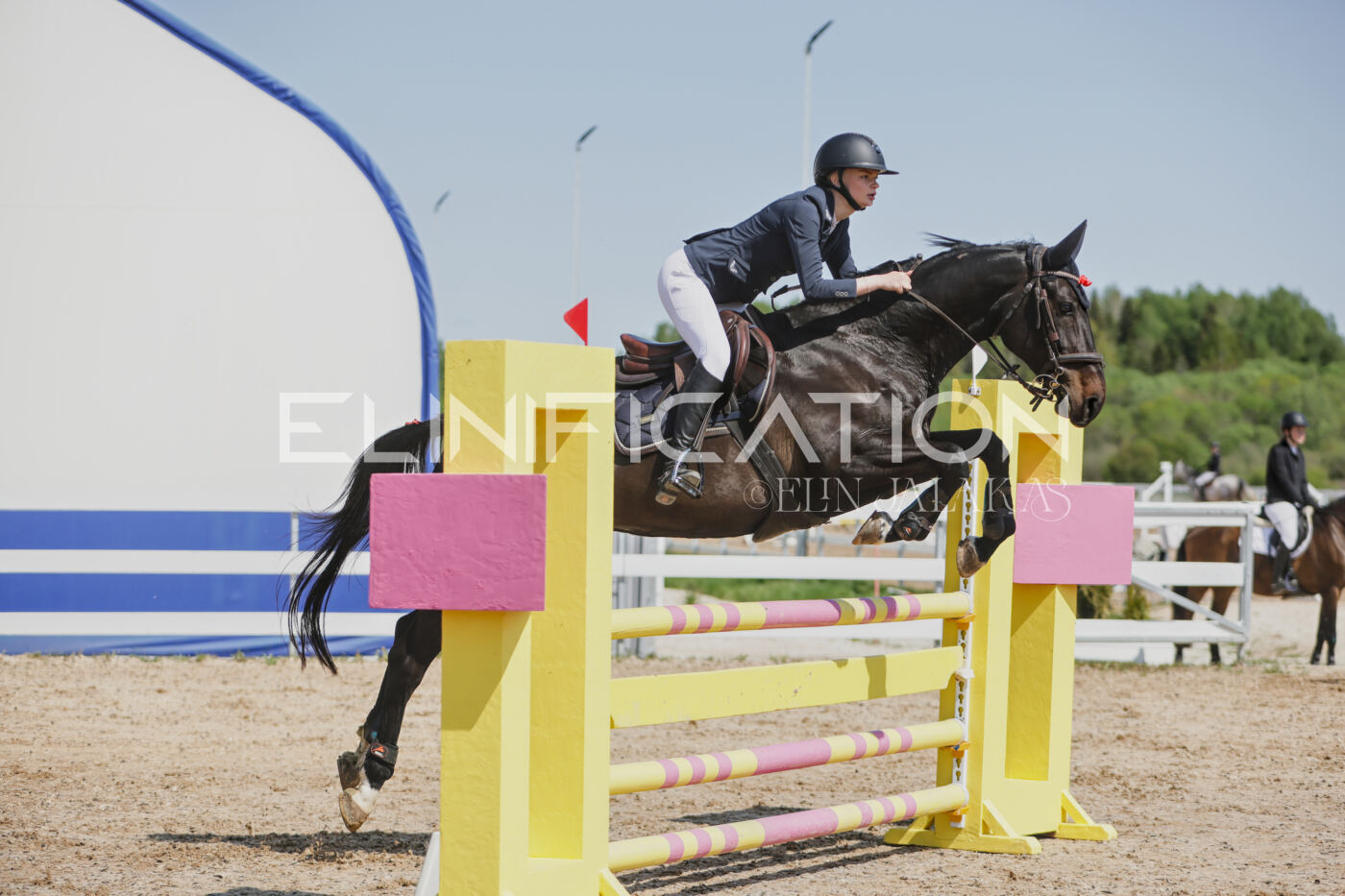 Gramina_Kevad_2026_100_323