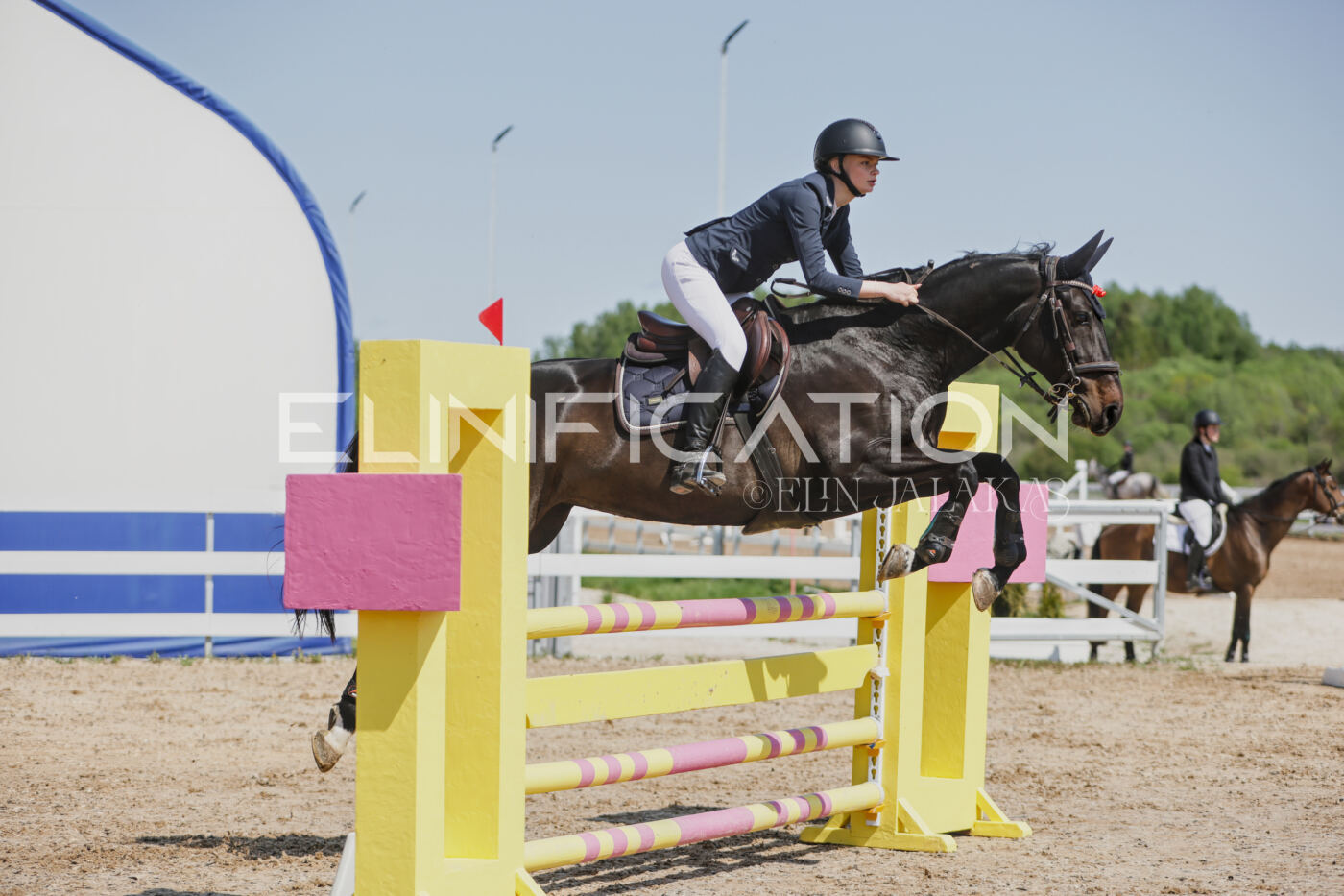 Gramina_Kevad_2026_100_324