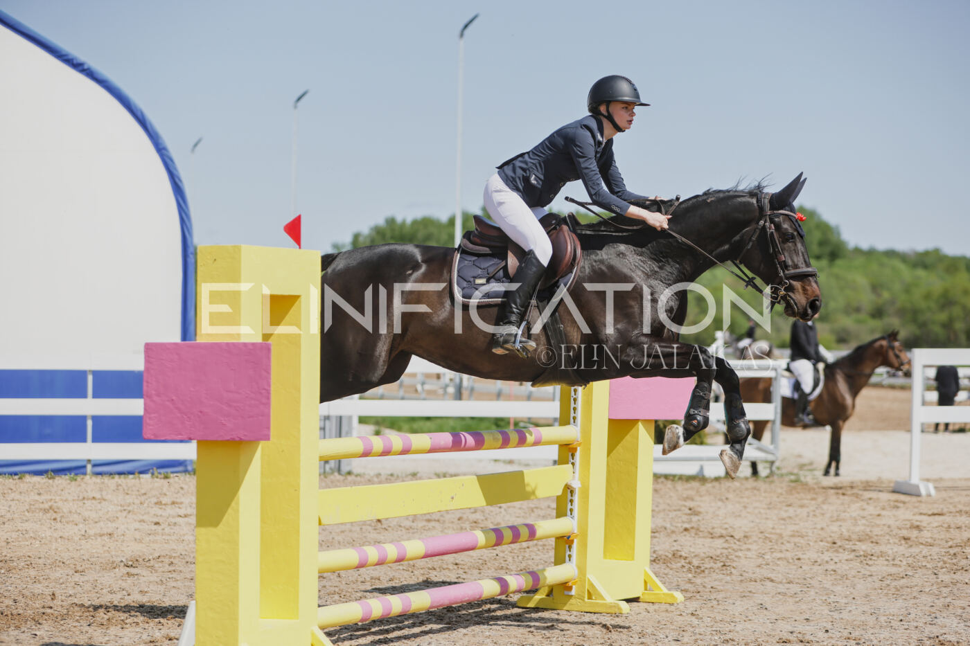 Gramina_Kevad_2026_100_325