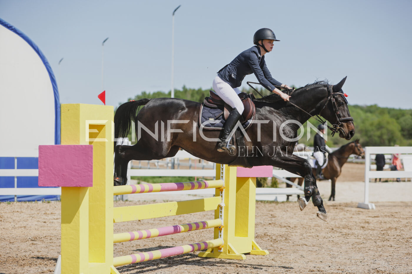 Gramina_Kevad_2026_100_326