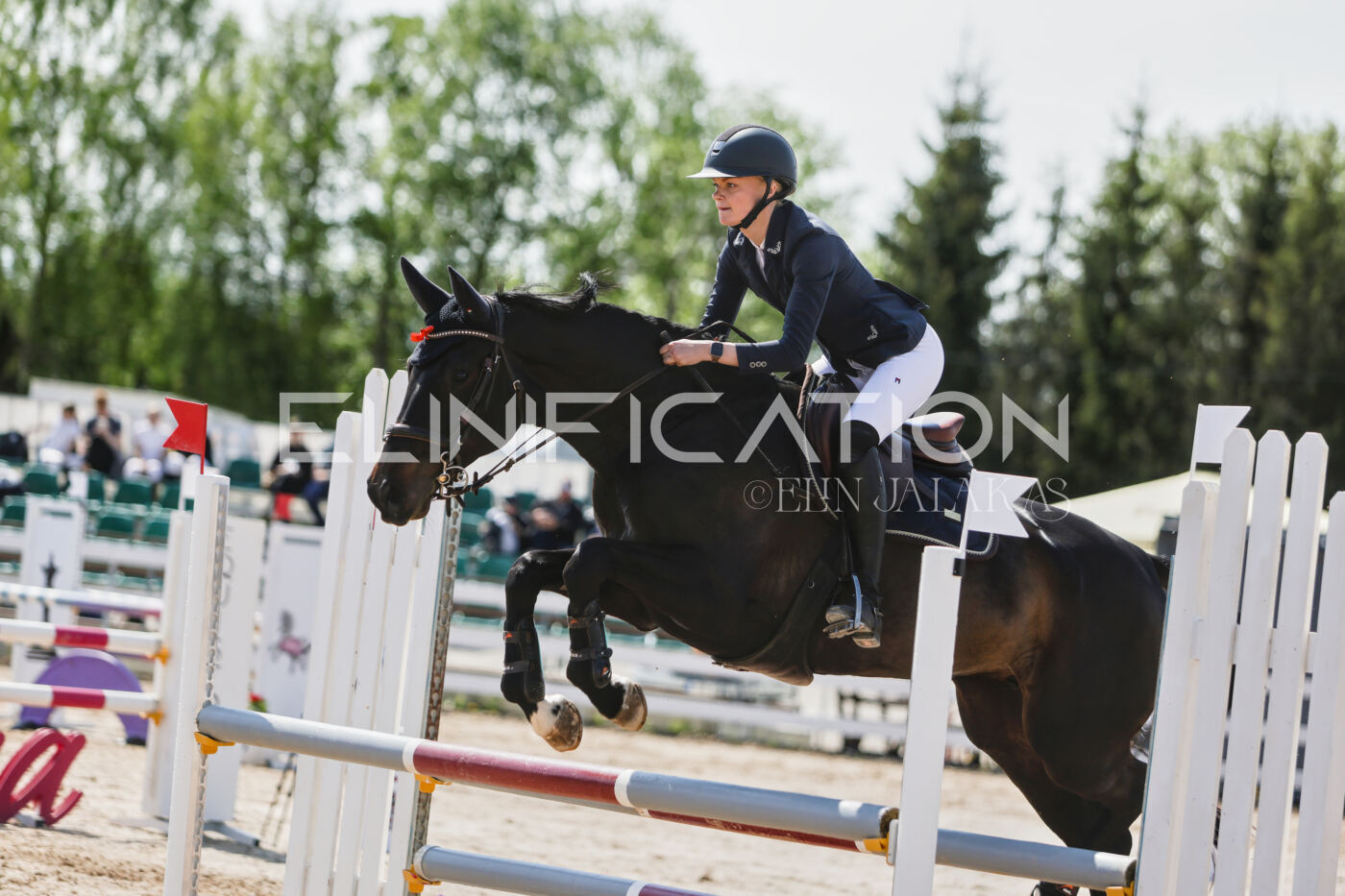 Gramina_Kevad_2026_100_327