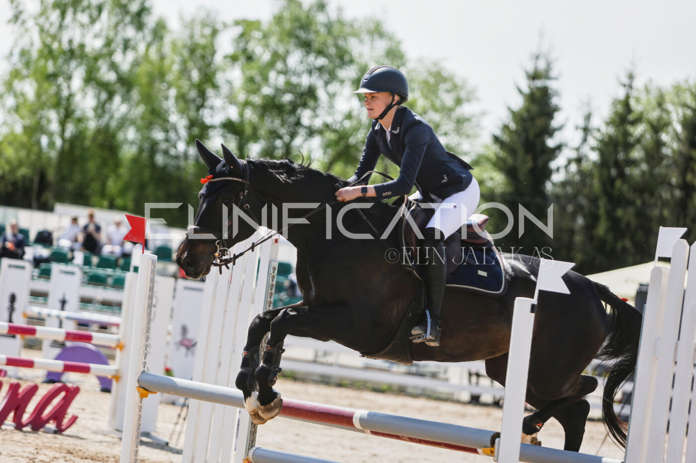 Gramina_Kevad_2026_100_328