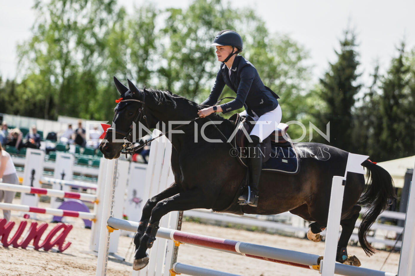 Gramina_Kevad_2026_100_329