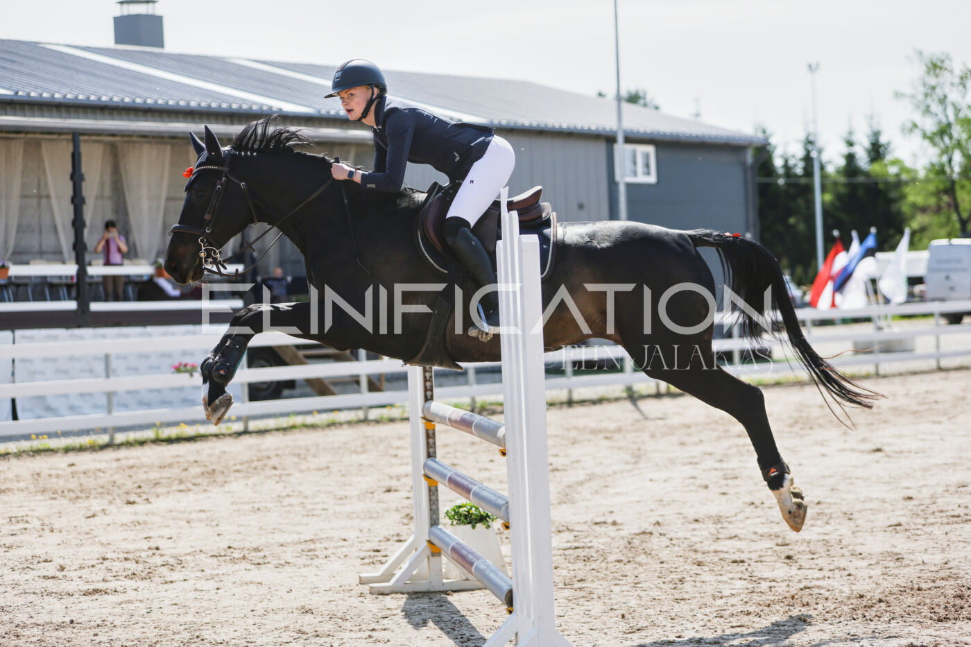 Gramina_Kevad_2026_100_332