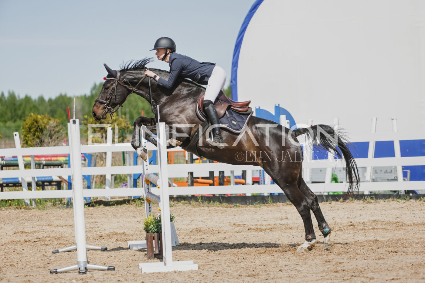 Gramina_Kevad_2026_100_334