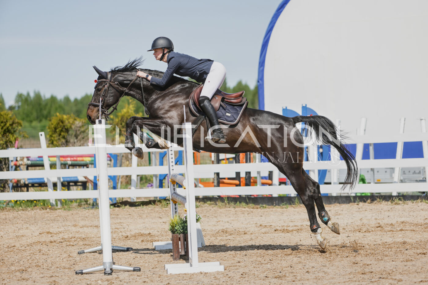 Gramina_Kevad_2026_100_335