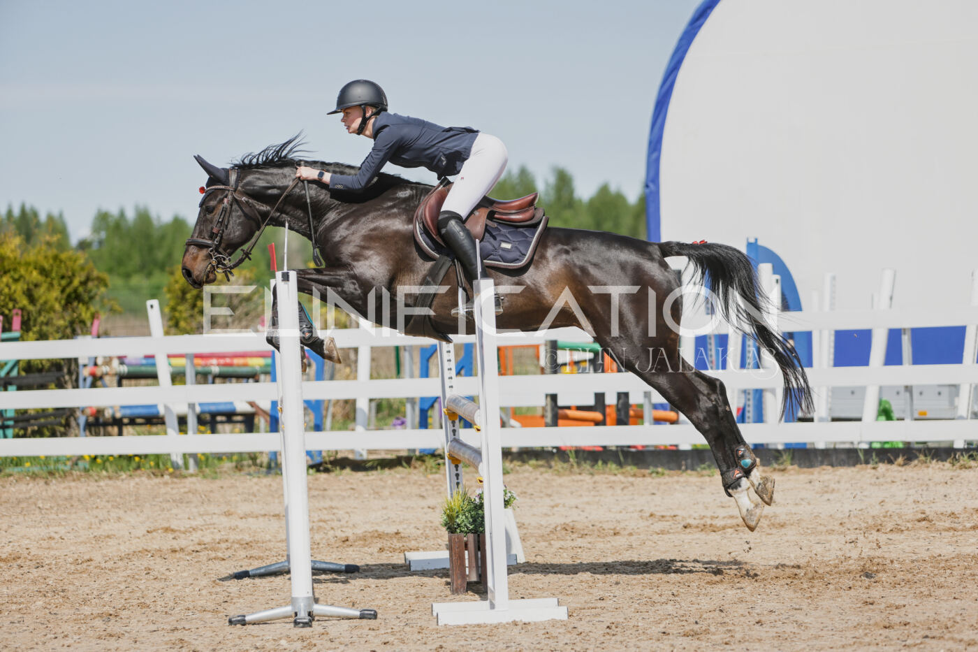 Gramina_Kevad_2026_100_336