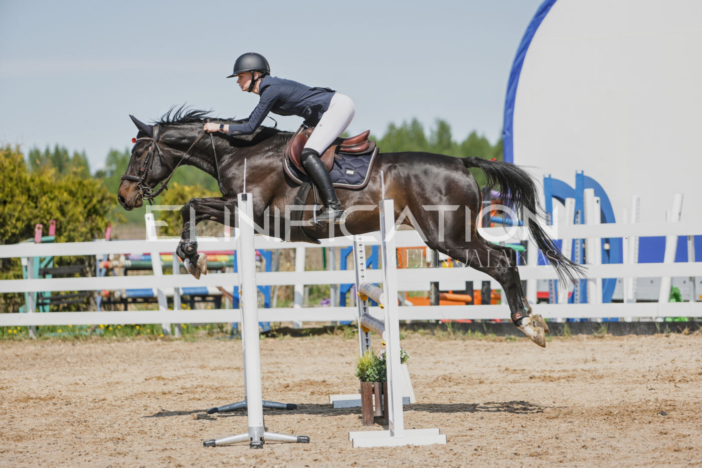 Gramina_Kevad_2026_100_337