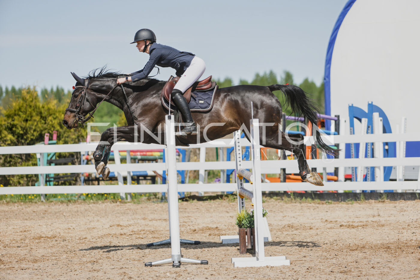 Gramina_Kevad_2026_100_338