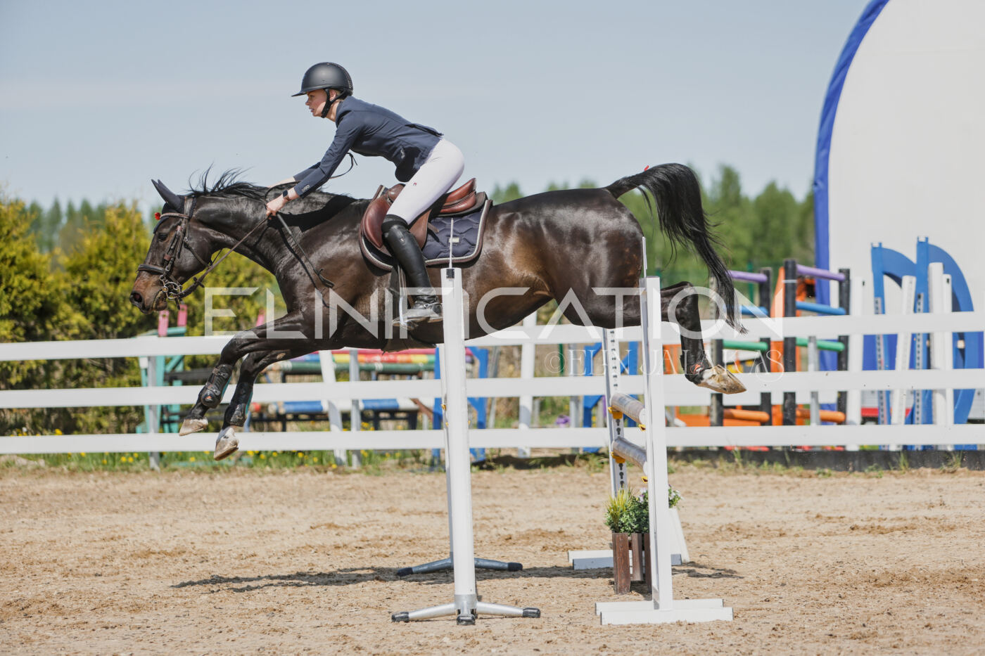 Gramina_Kevad_2026_100_339