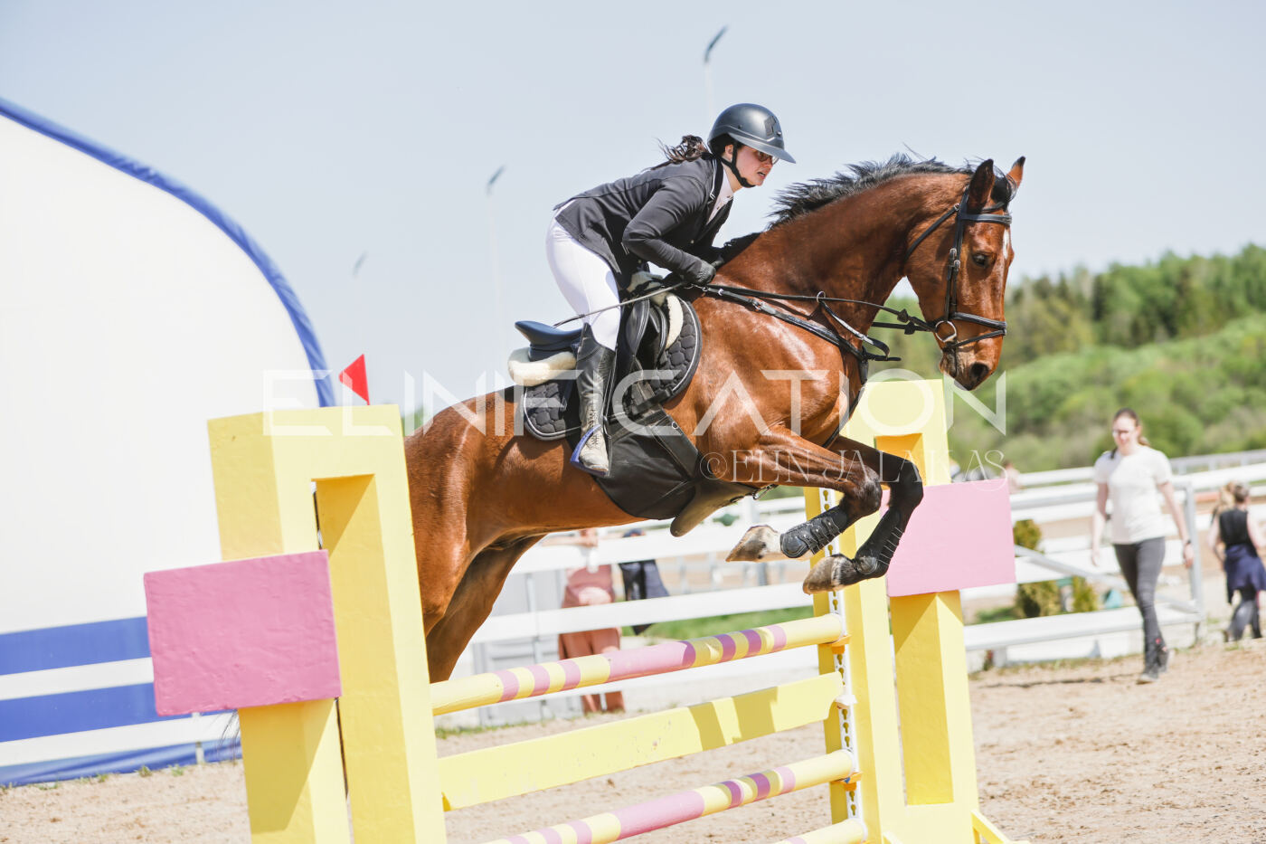 Gramina_Kevad_2026_100_340
