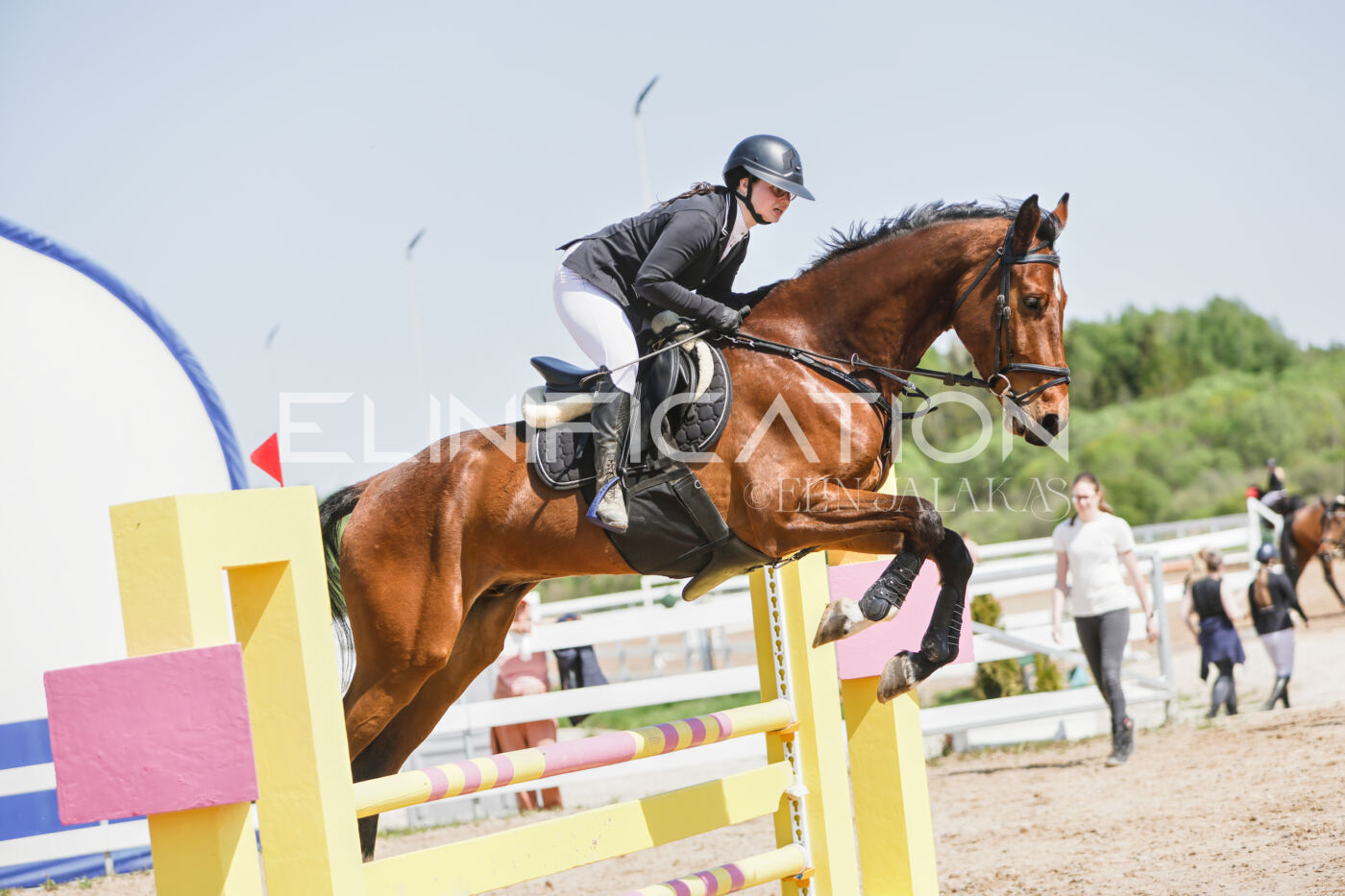 Gramina_Kevad_2026_100_341