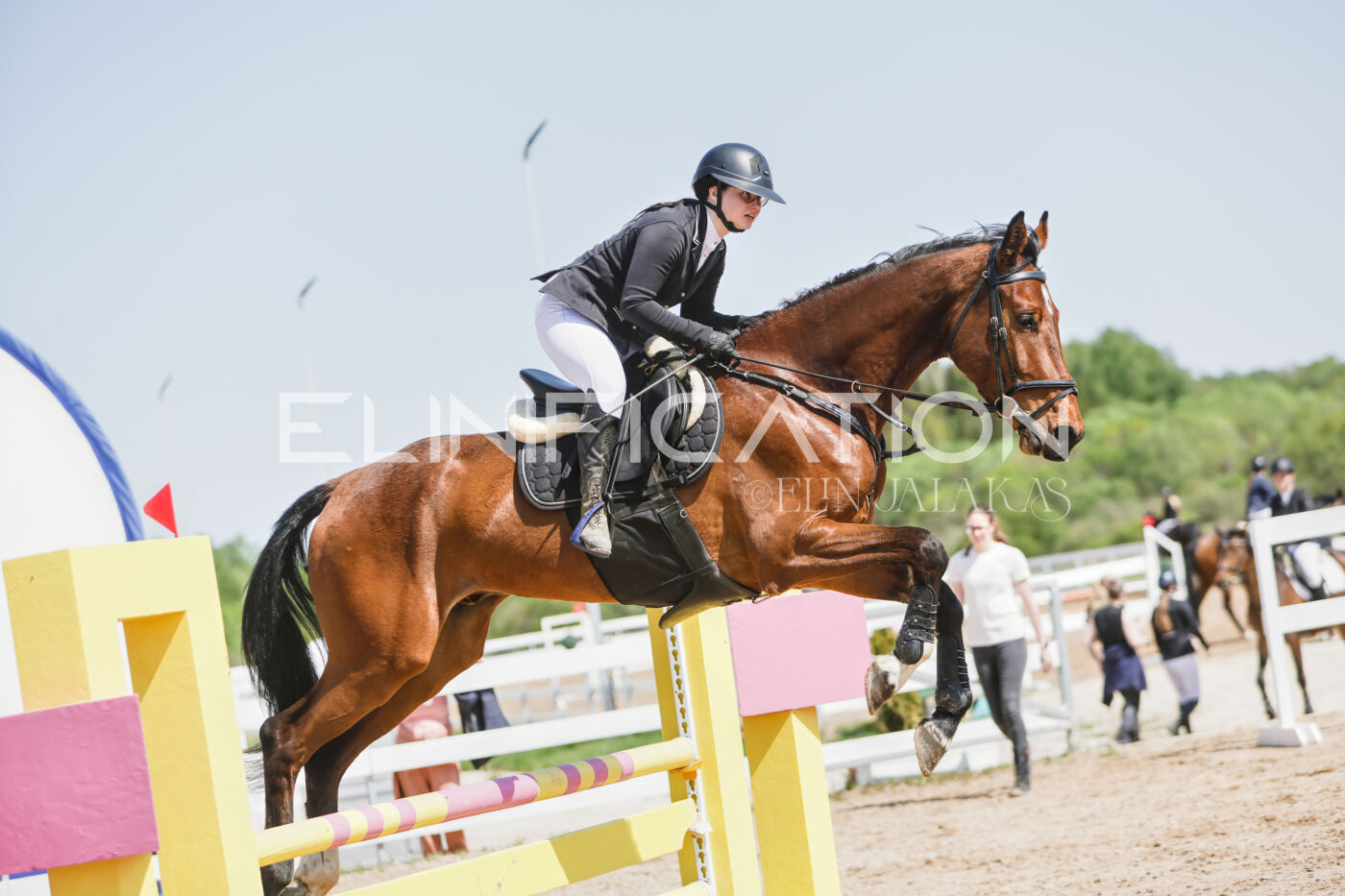 Gramina_Kevad_2026_100_342