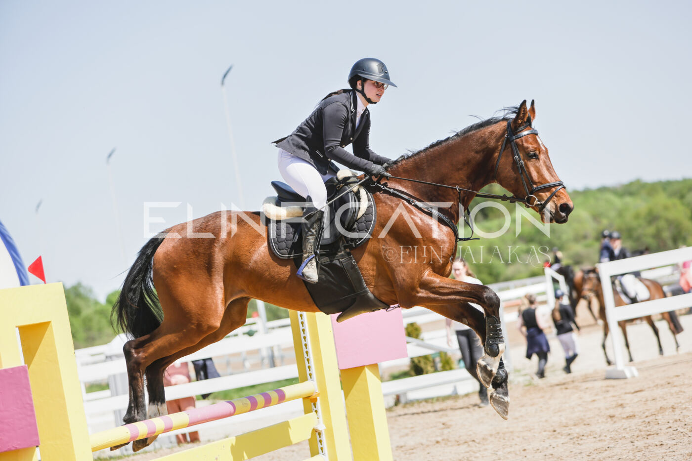 Gramina_Kevad_2026_100_343