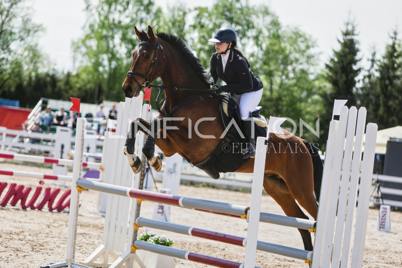 Gramina_Kevad_2026_100_344