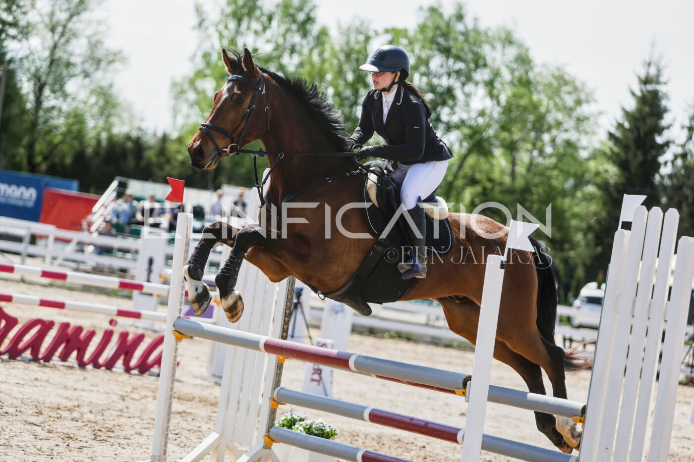 Gramina_Kevad_2026_100_345