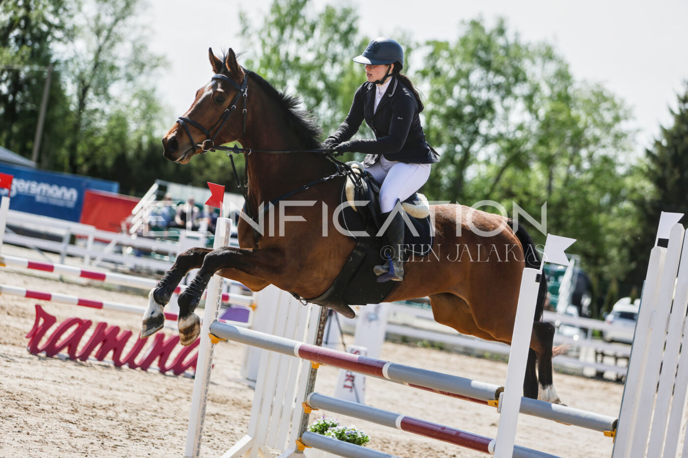Gramina_Kevad_2026_100_346