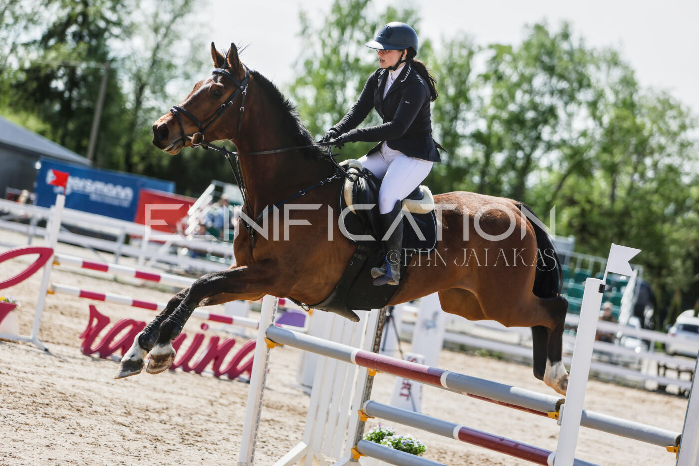 Gramina_Kevad_2026_100_347