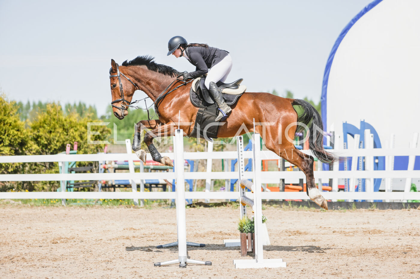 Gramina_Kevad_2026_100_349