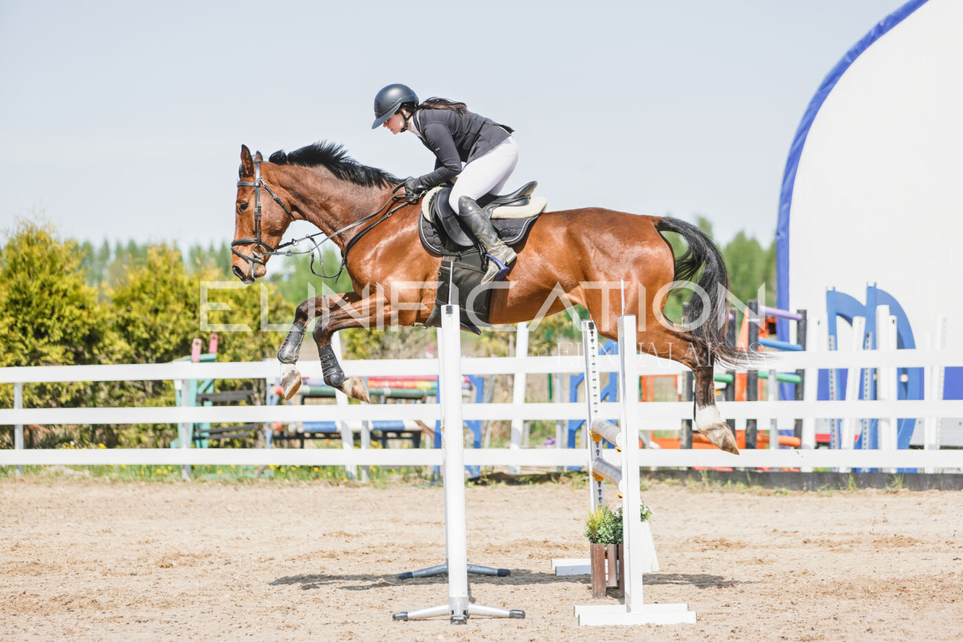 Gramina_Kevad_2026_100_350