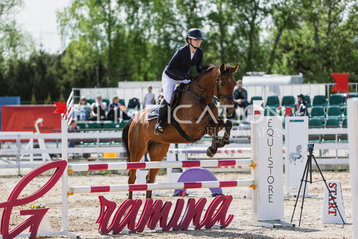 Gramina_Kevad_2026_100_352