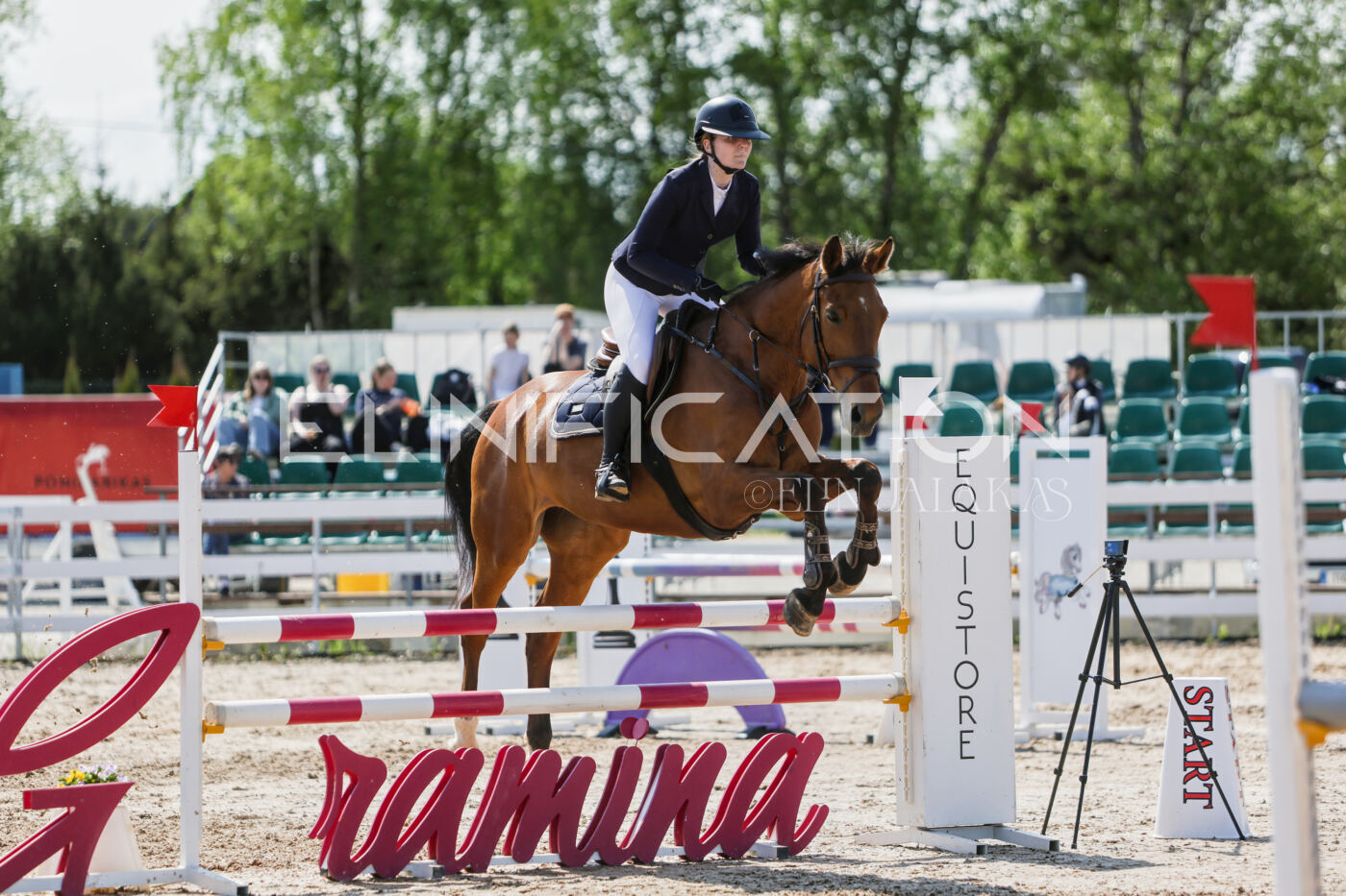 Gramina_Kevad_2026_100_353