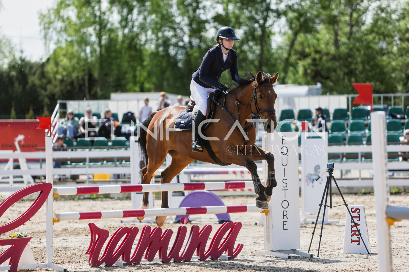 Gramina_Kevad_2026_100_354