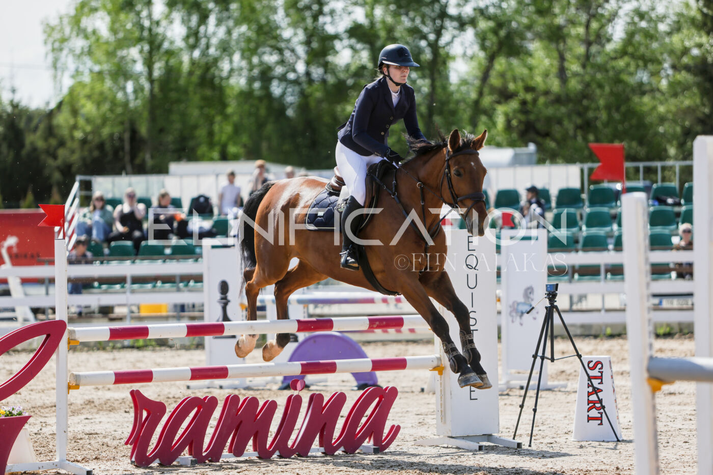 Gramina_Kevad_2026_100_355