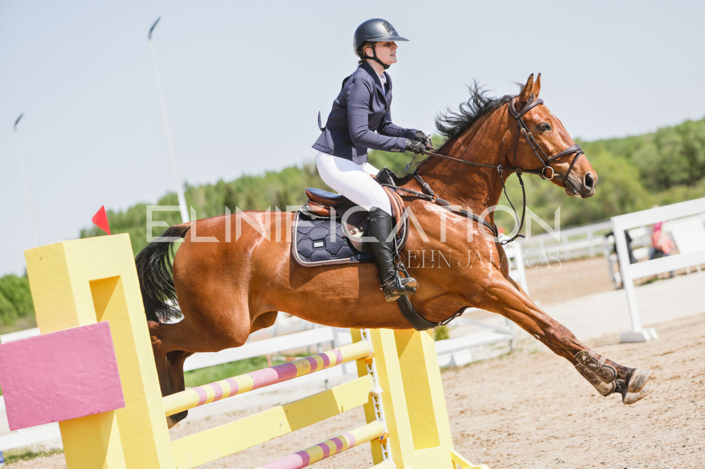 Gramina_Kevad_2026_100_358