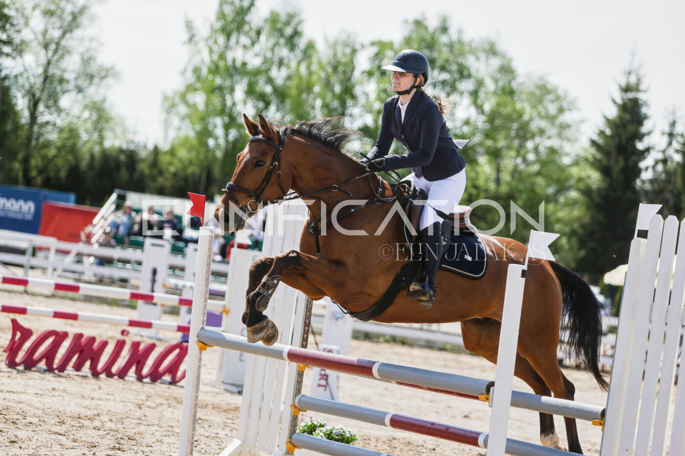 Gramina_Kevad_2026_100_359