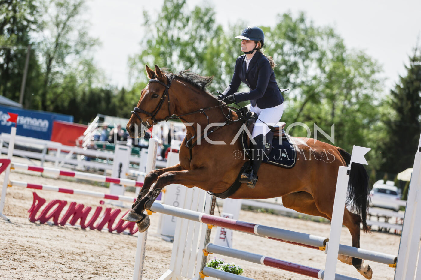 Gramina_Kevad_2026_100_360