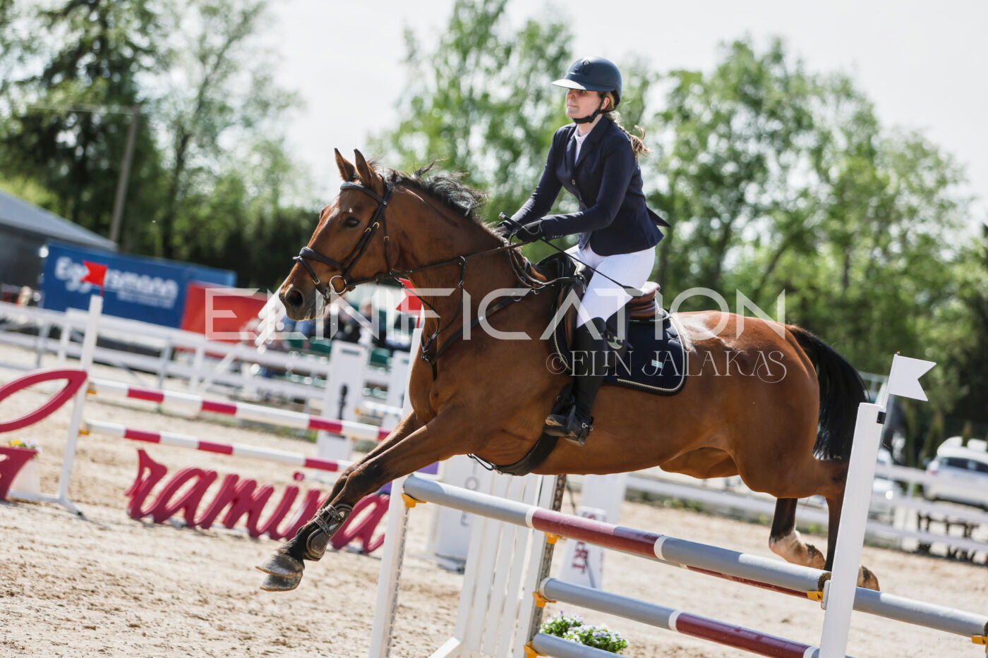 Gramina_Kevad_2026_100_361