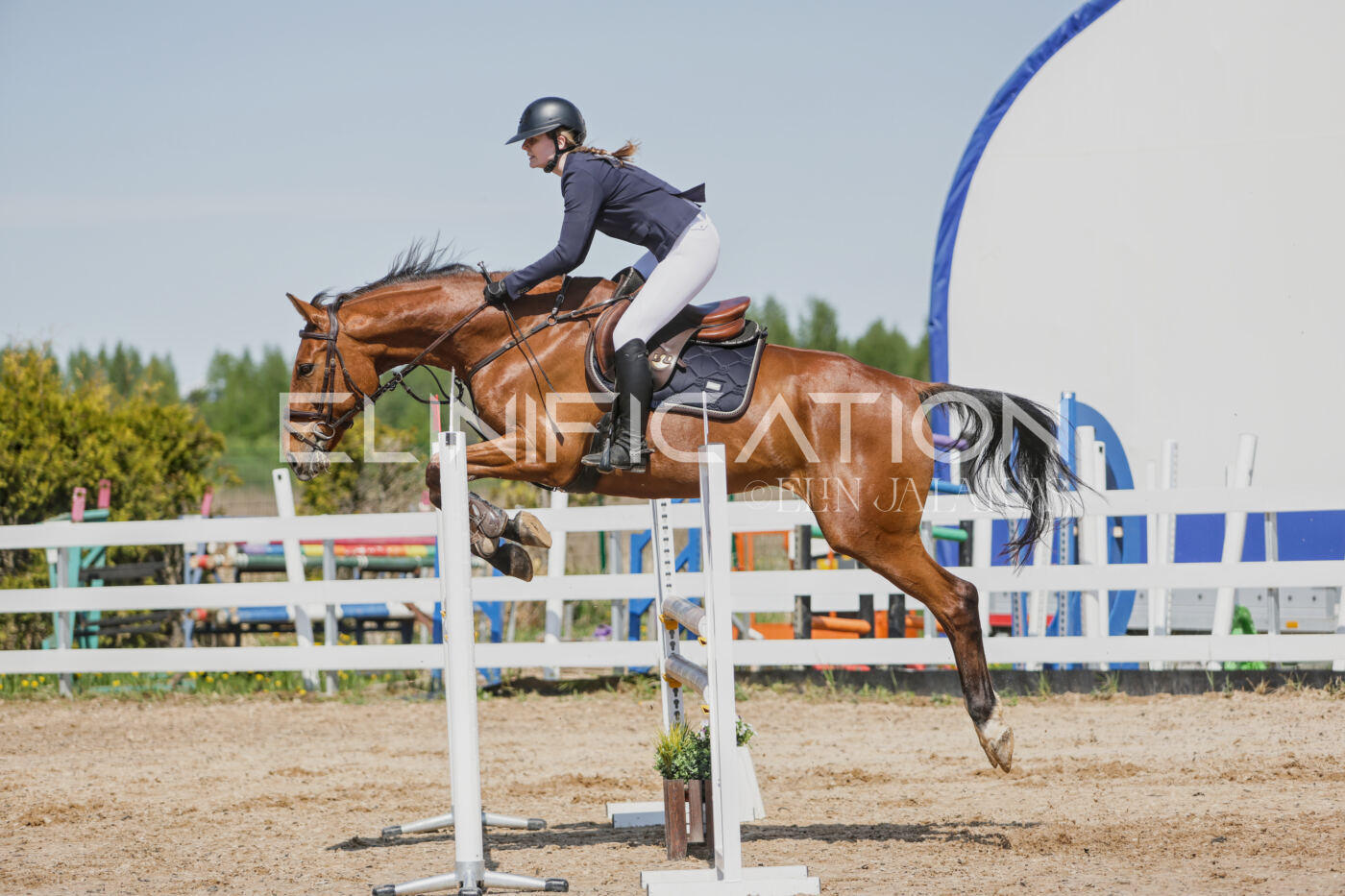 Gramina_Kevad_2026_100_364