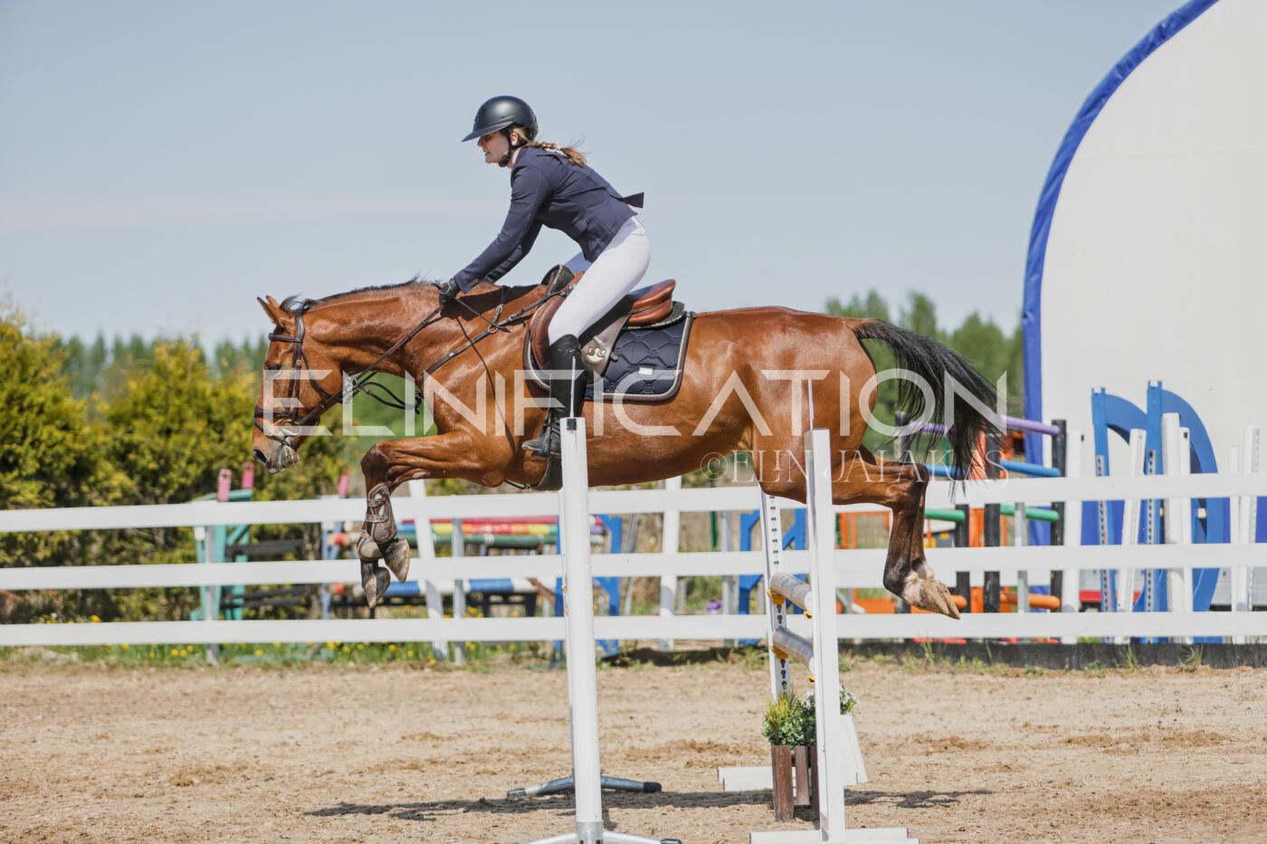 Gramina_Kevad_2026_100_366