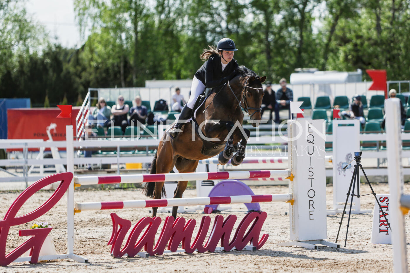 Gramina_Kevad_2026_100_367