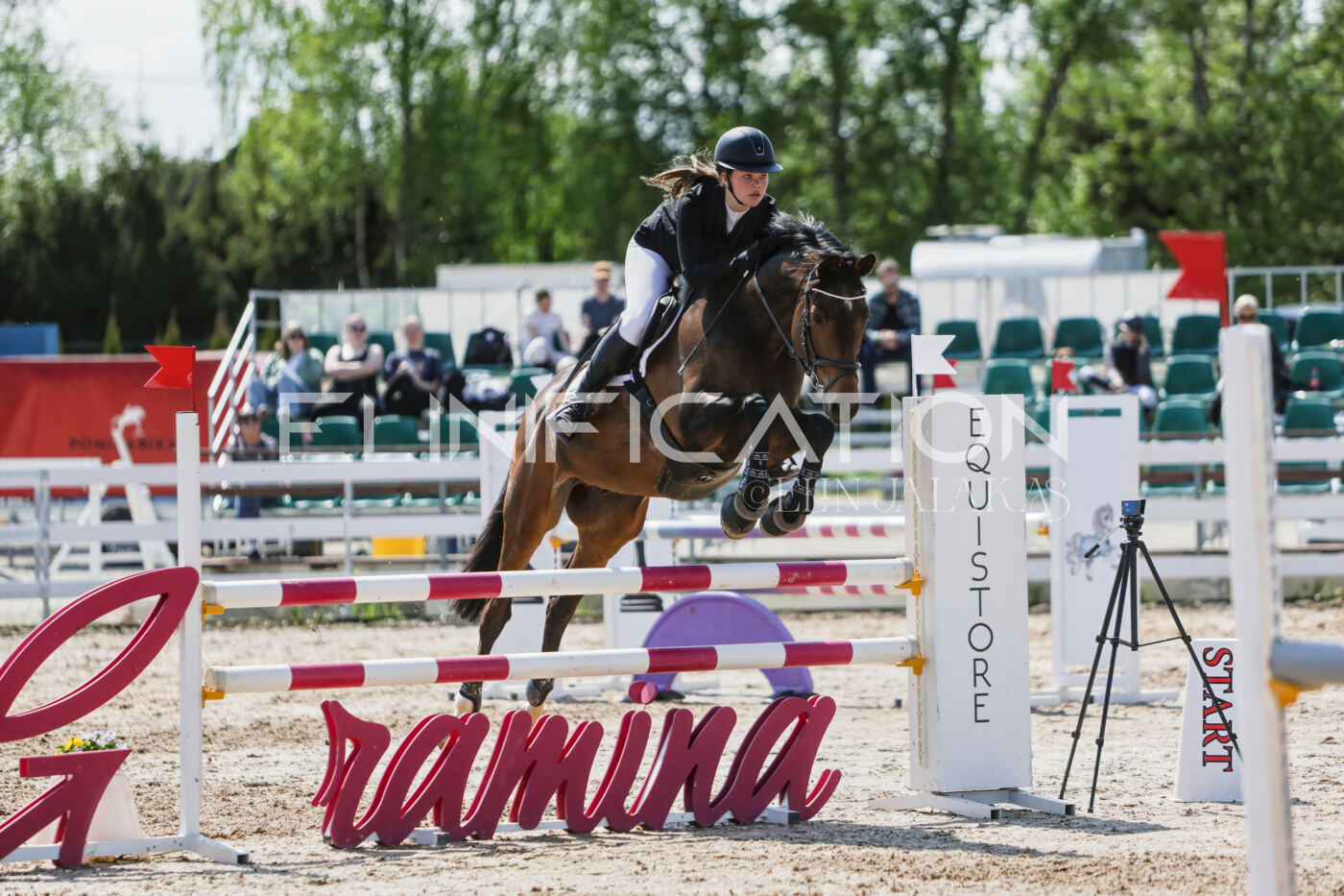 Gramina_Kevad_2026_100_368