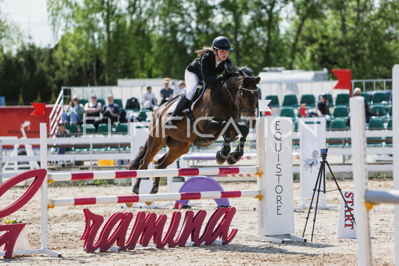 Gramina_Kevad_2026_100_369