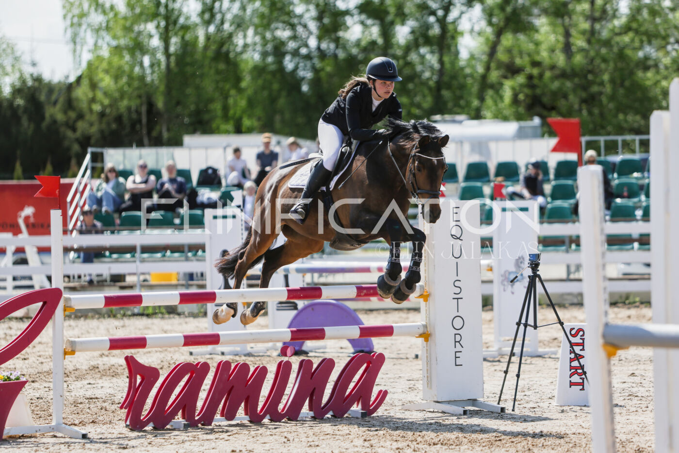 Gramina_Kevad_2026_100_370