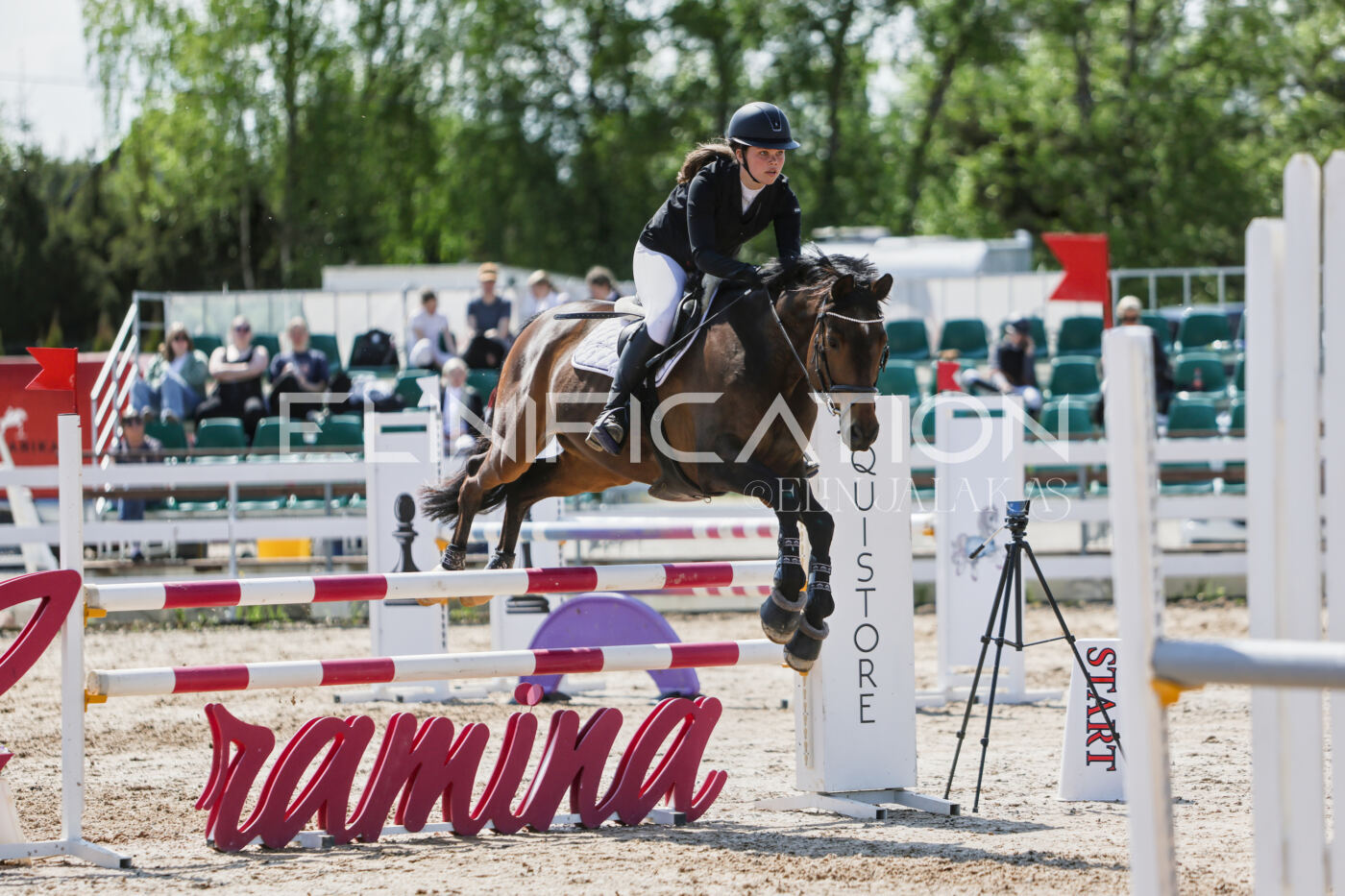 Gramina_Kevad_2026_100_371