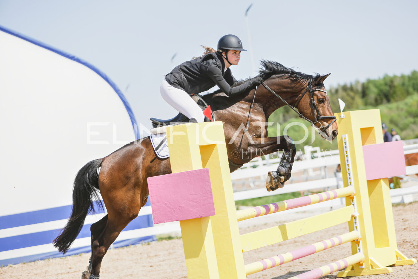 Gramina_Kevad_2026_100_372