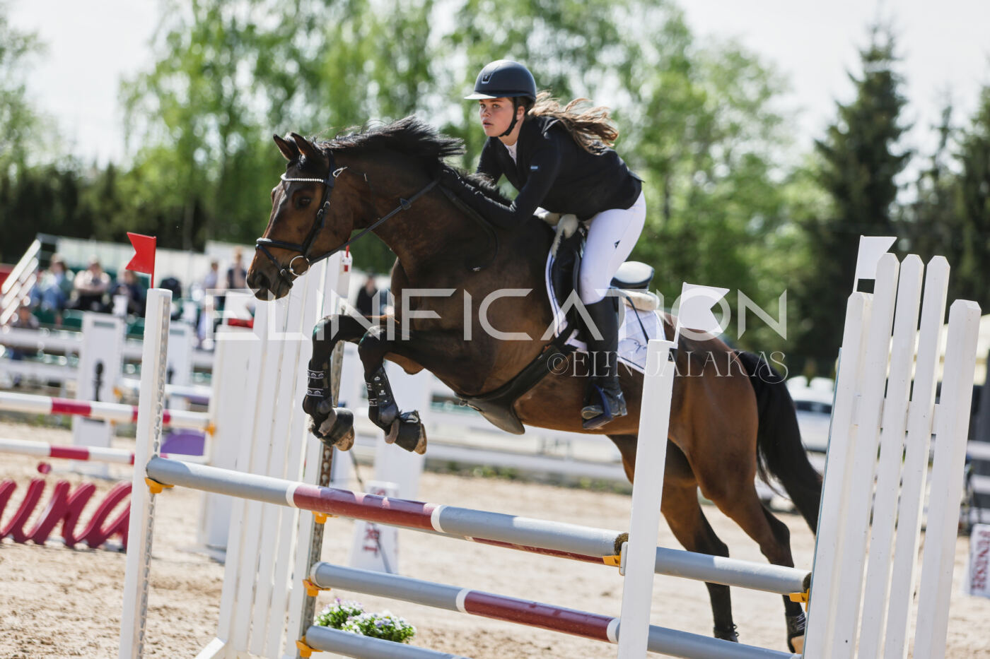 Gramina_Kevad_2026_100_376
