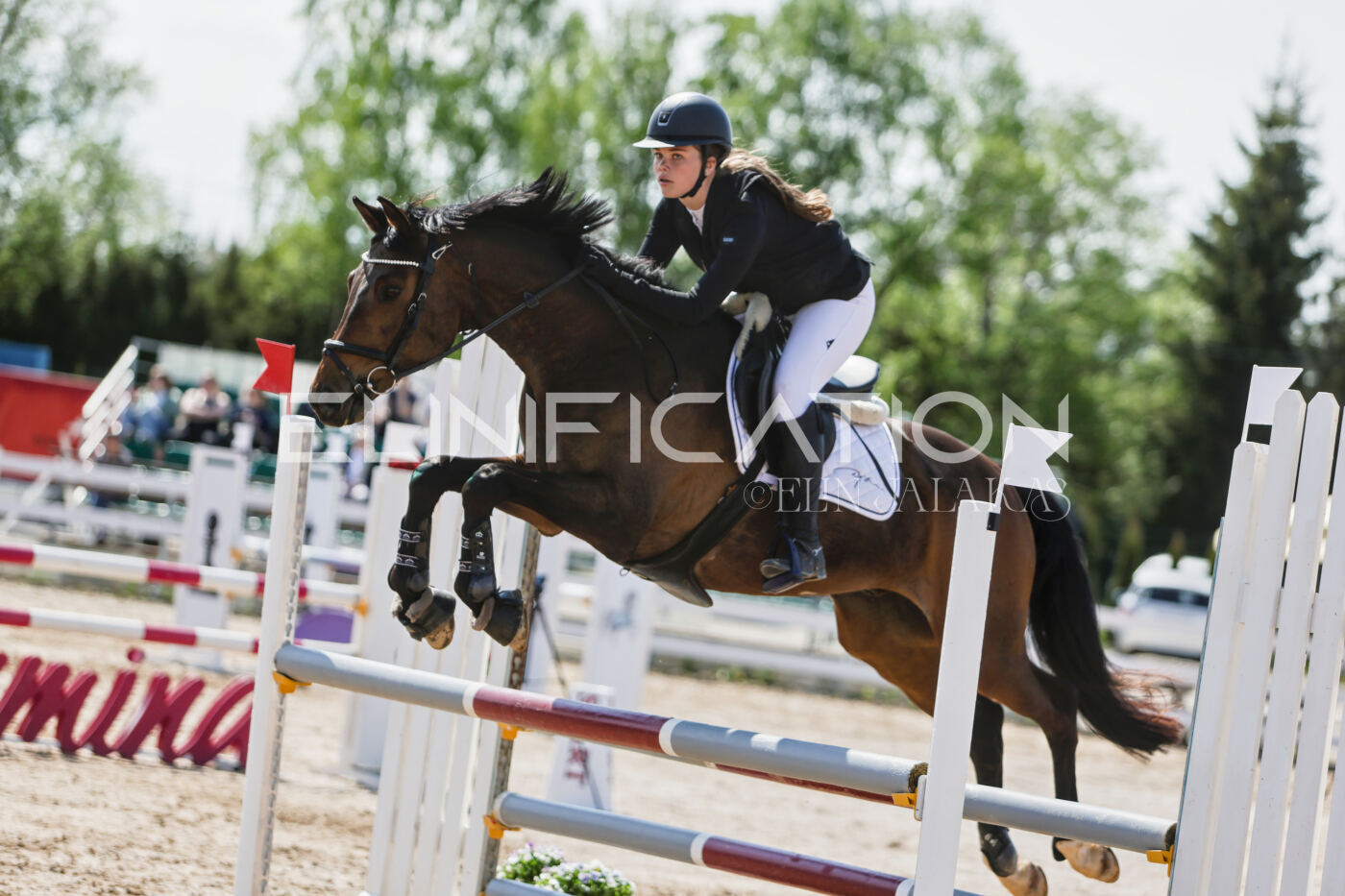 Gramina_Kevad_2026_100_377