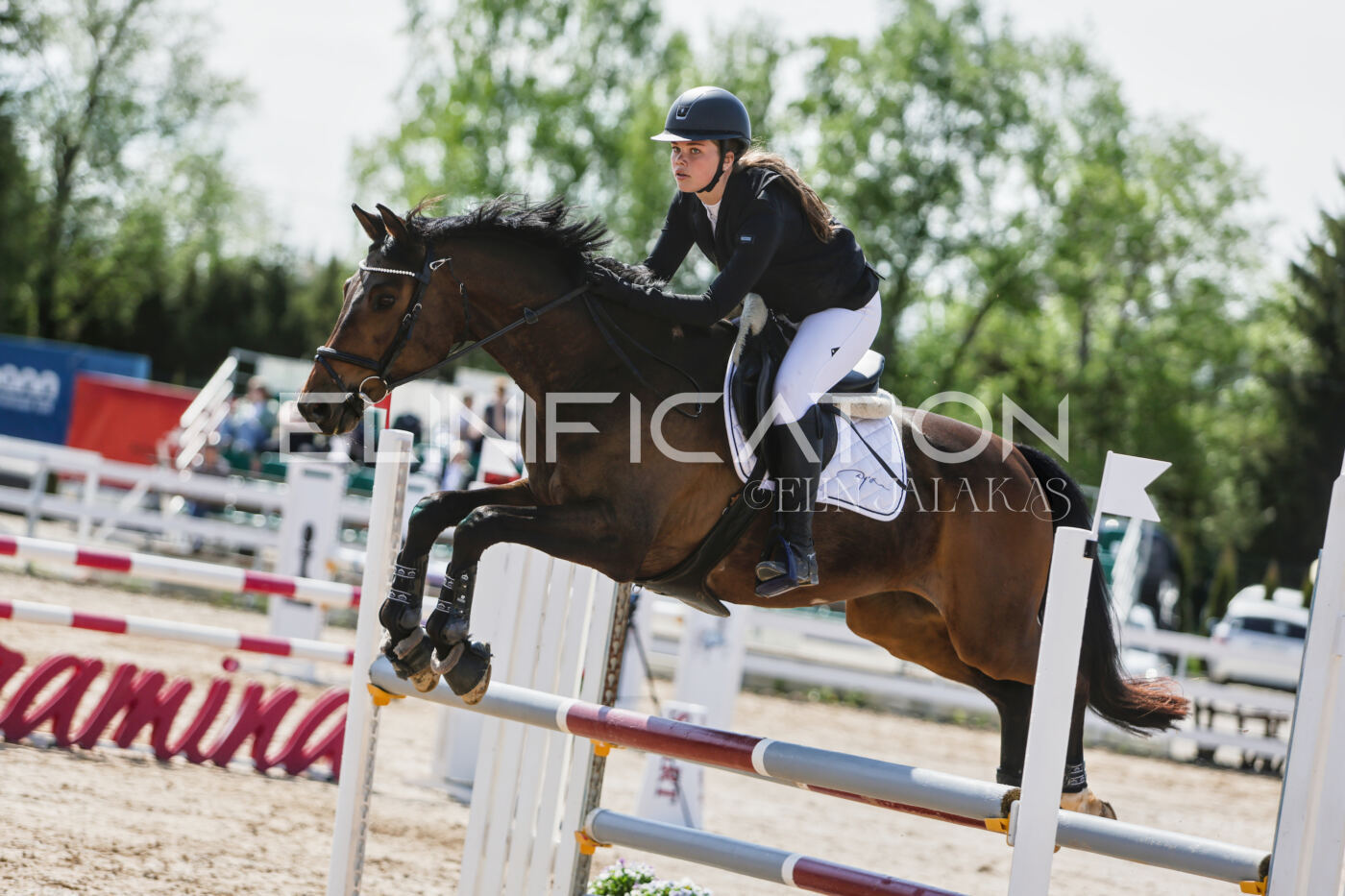 Gramina_Kevad_2026_100_378