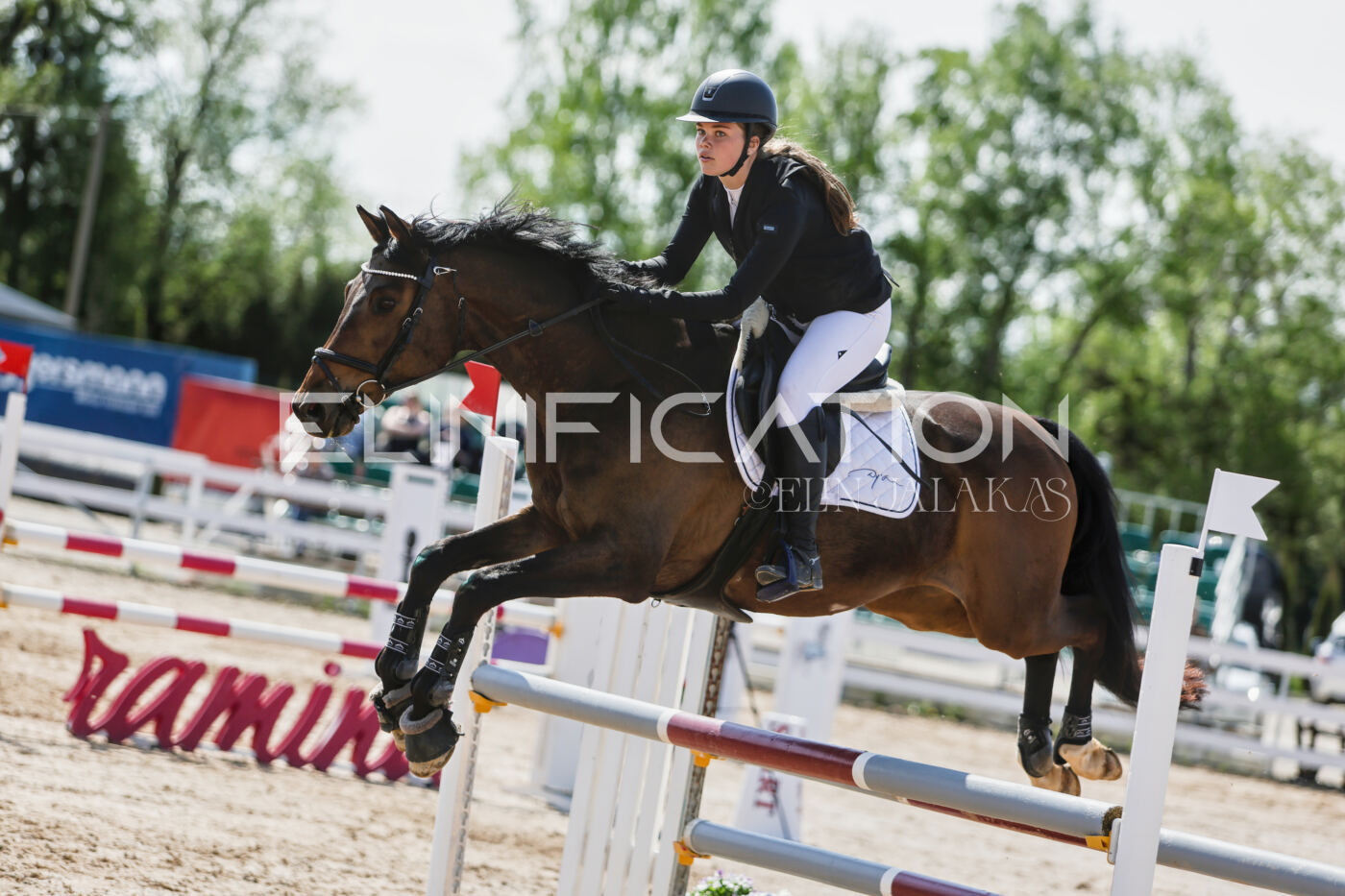 Gramina_Kevad_2026_100_379