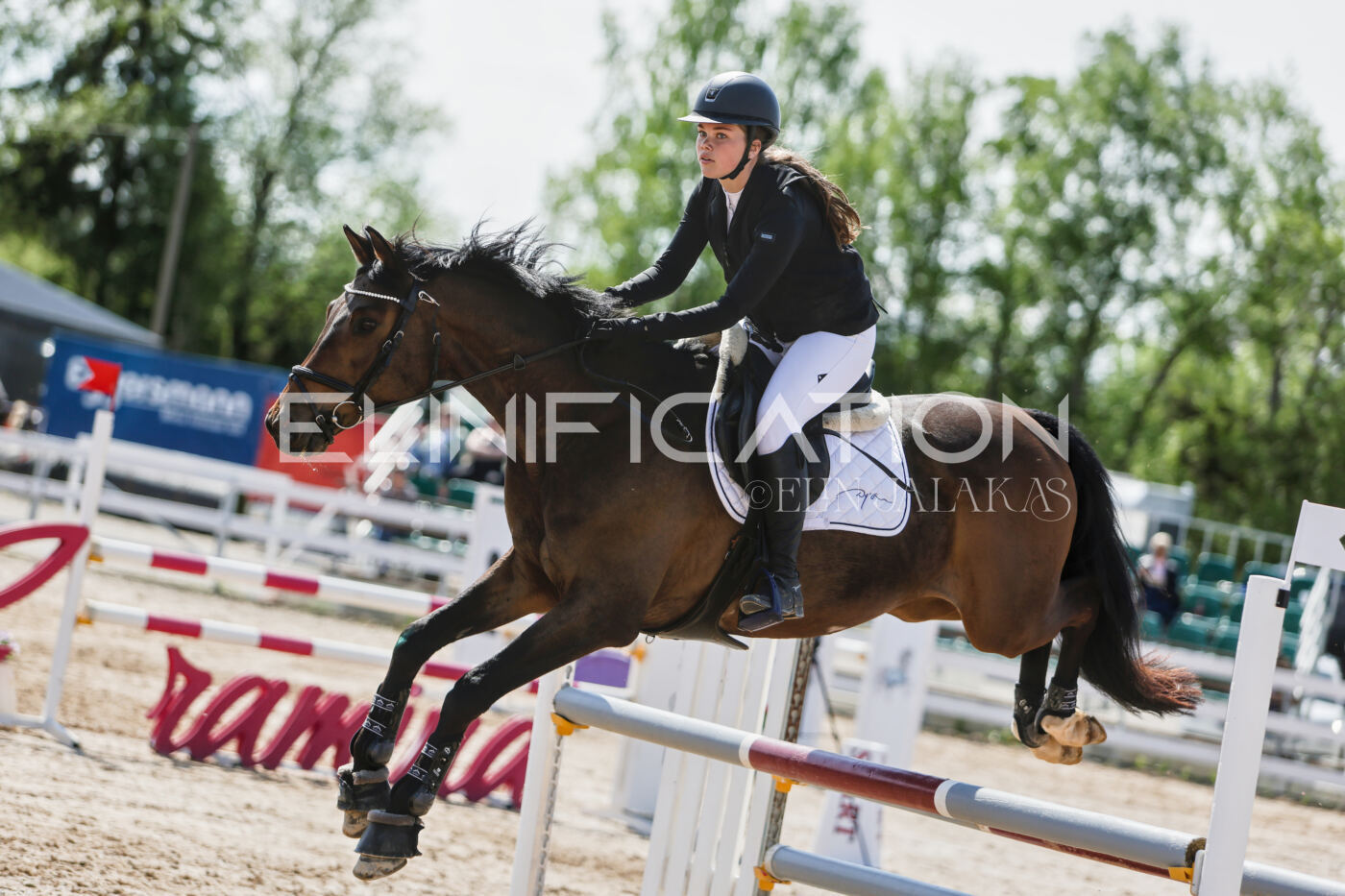 Gramina_Kevad_2026_100_380